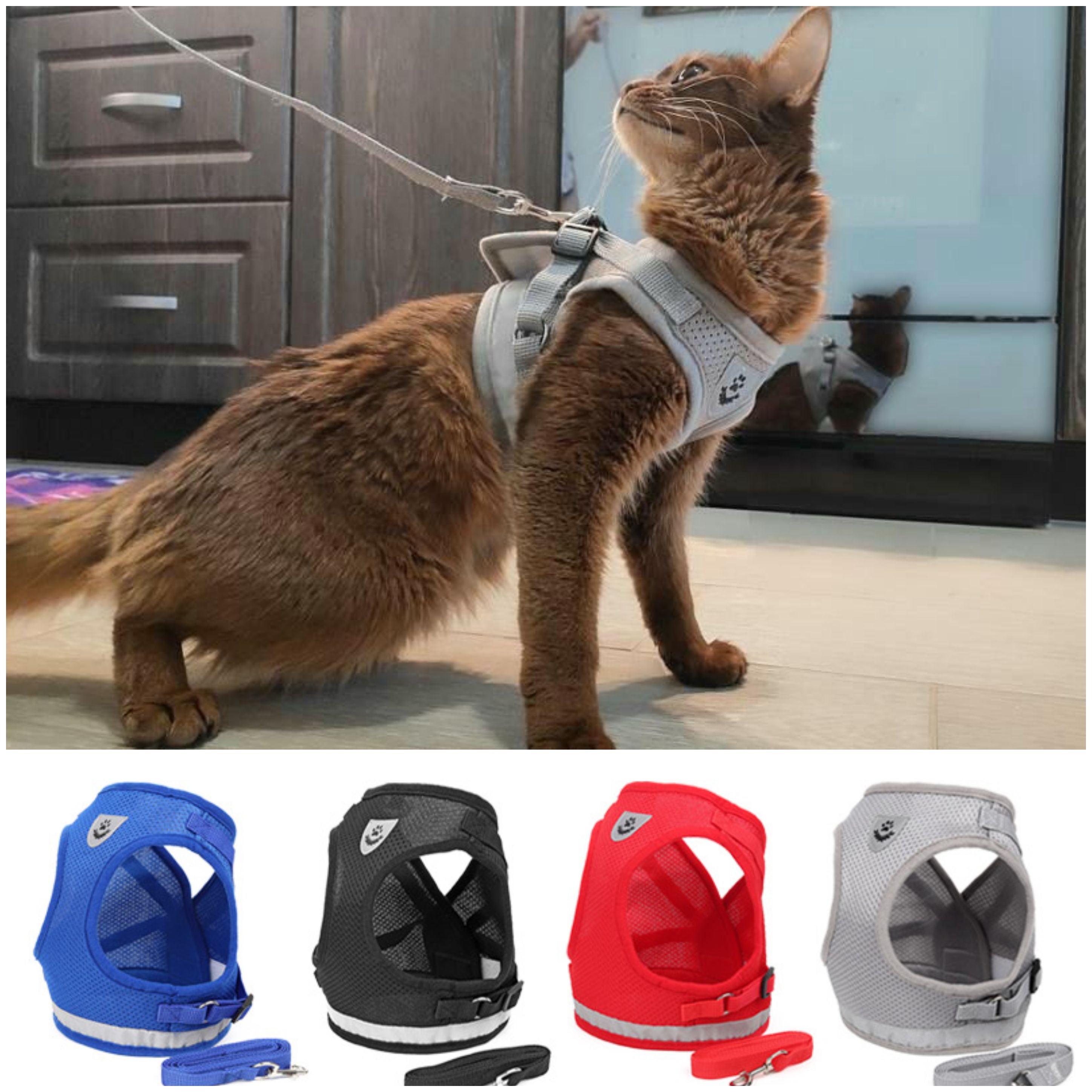 Kedi göğüs tasması kayış seti - hep21 shop