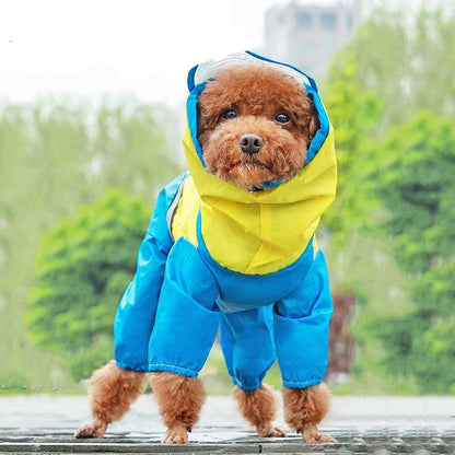 Köpek Yağmurluk