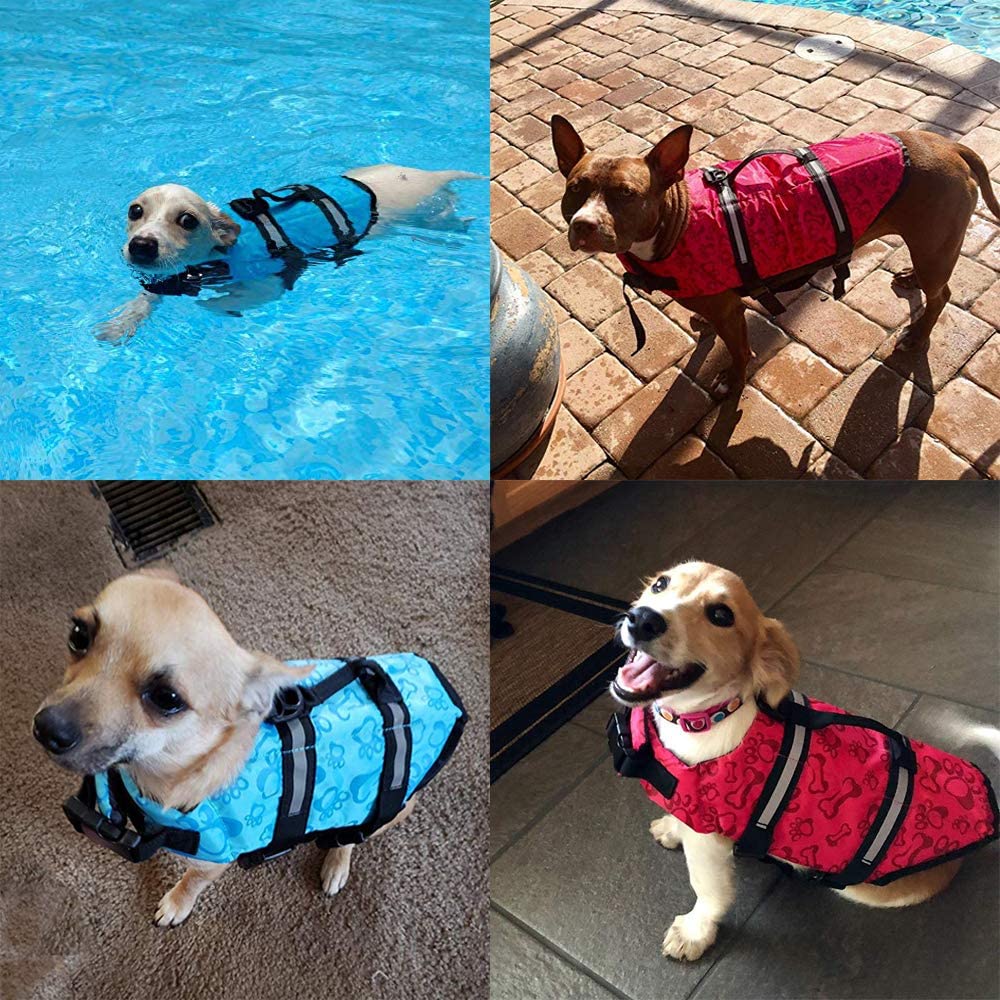 köpek cankurtaran yeleği