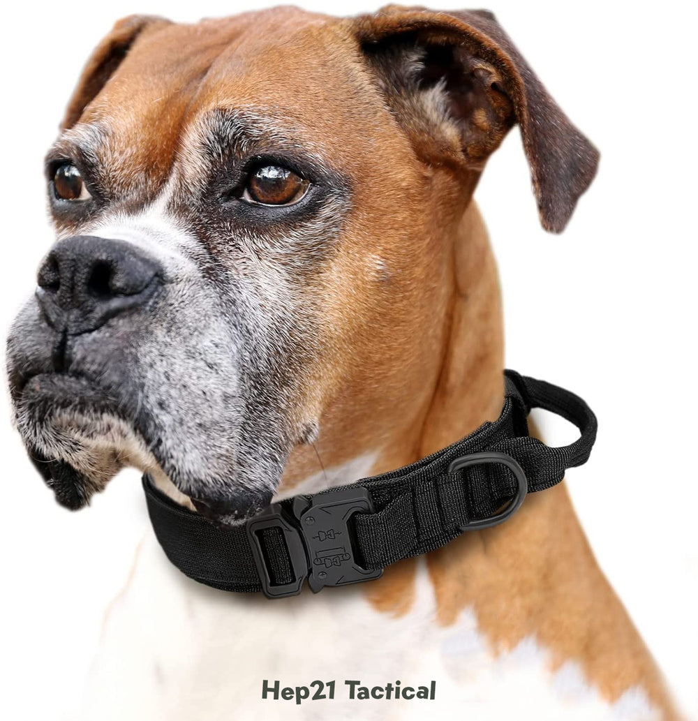 K9 Tasma Tactical 