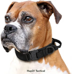 Kangal tasması Kayış SET 40023747