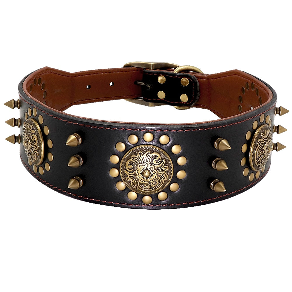 Pitbull Tasması 