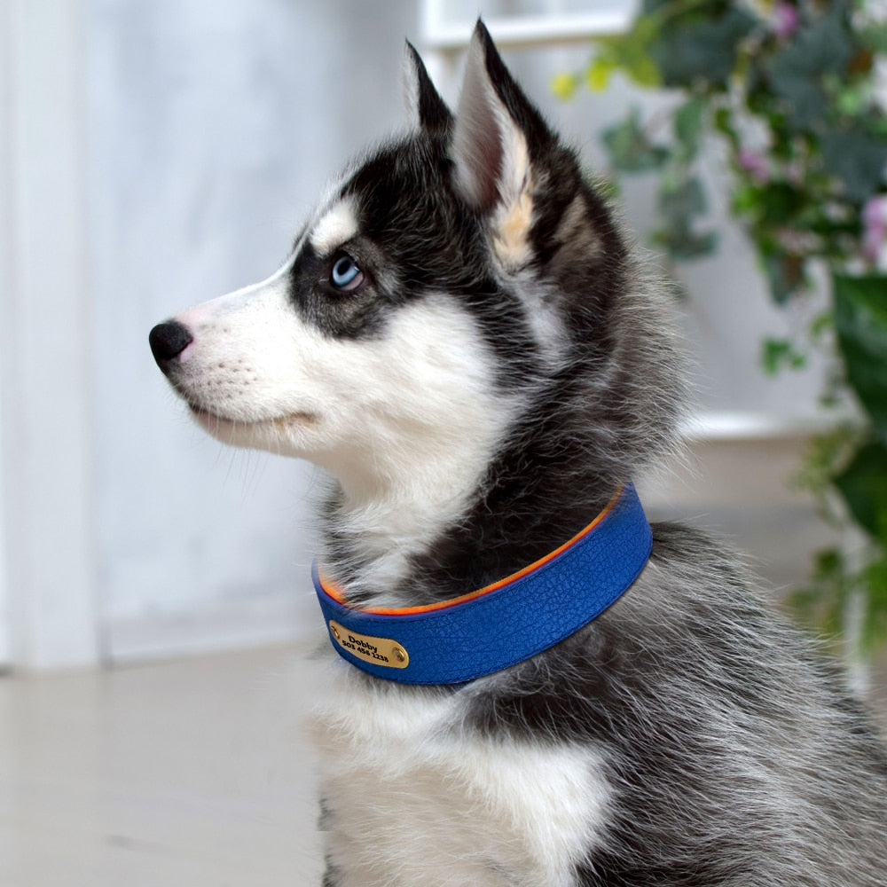 Deri Köpek Tasması 39316467
