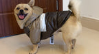 Köpek Mont 29667965