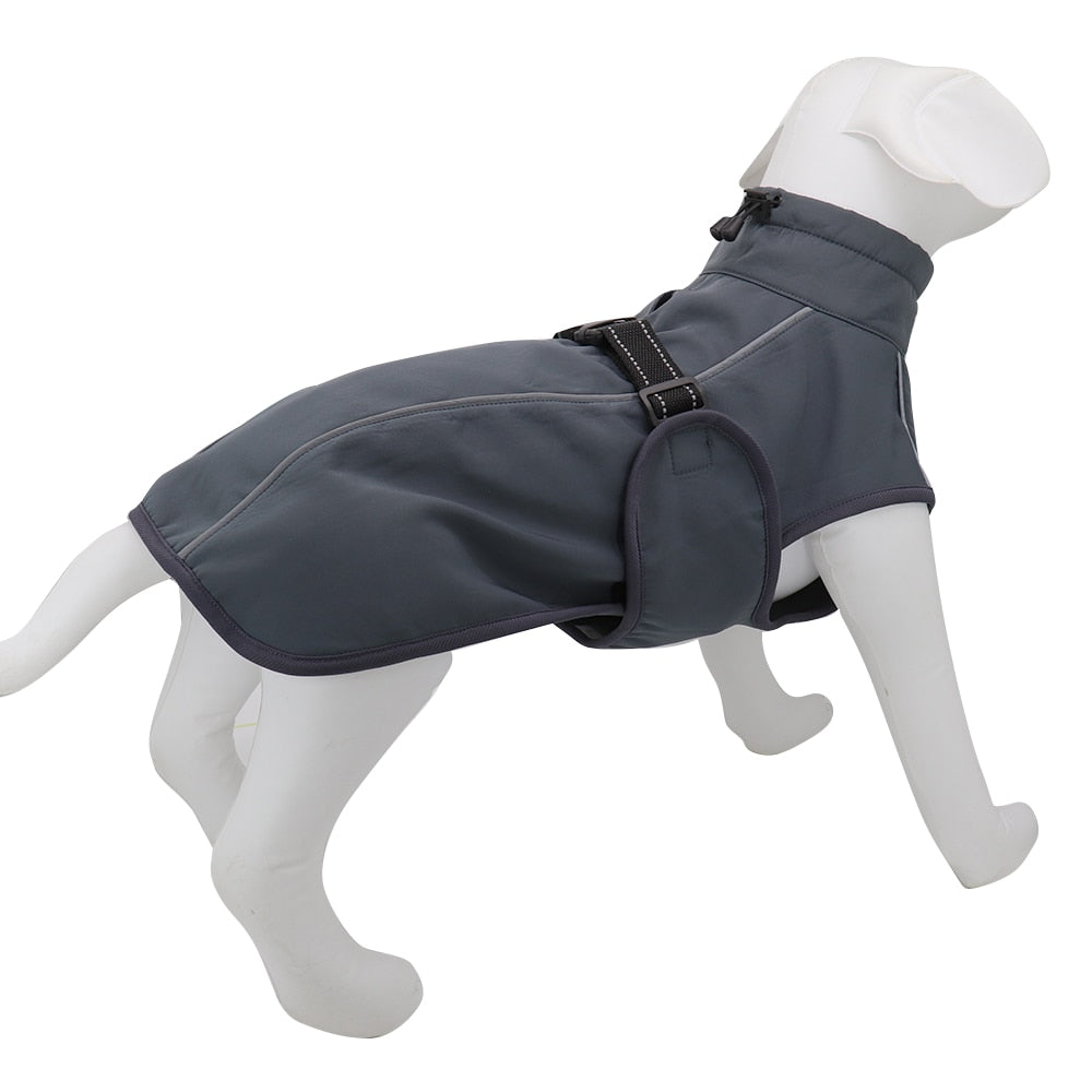 Köpek yağmurluk