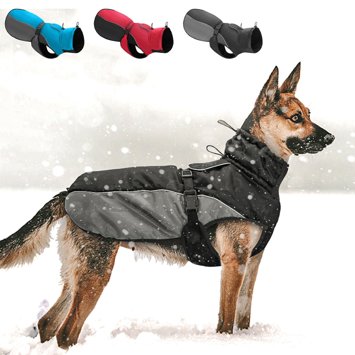 Köpek Yağmurluk Mont 47295254