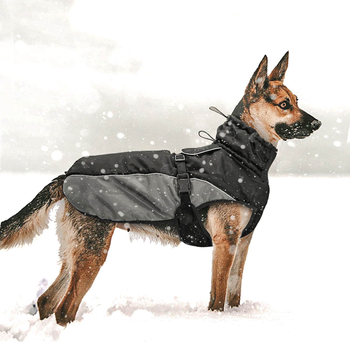 Köpek Yağmurluk Mont 47295254