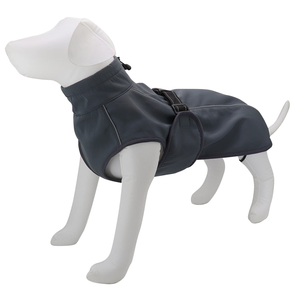 Köpek yağmurluk