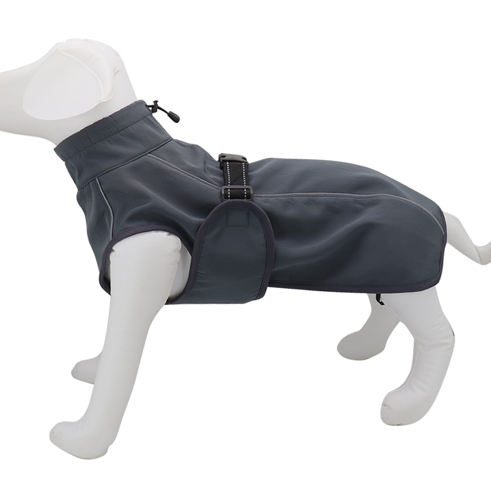 Köpek yağmurluk