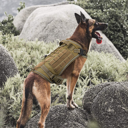 Köpek Göğüs Tasması Tactical SET 45449980