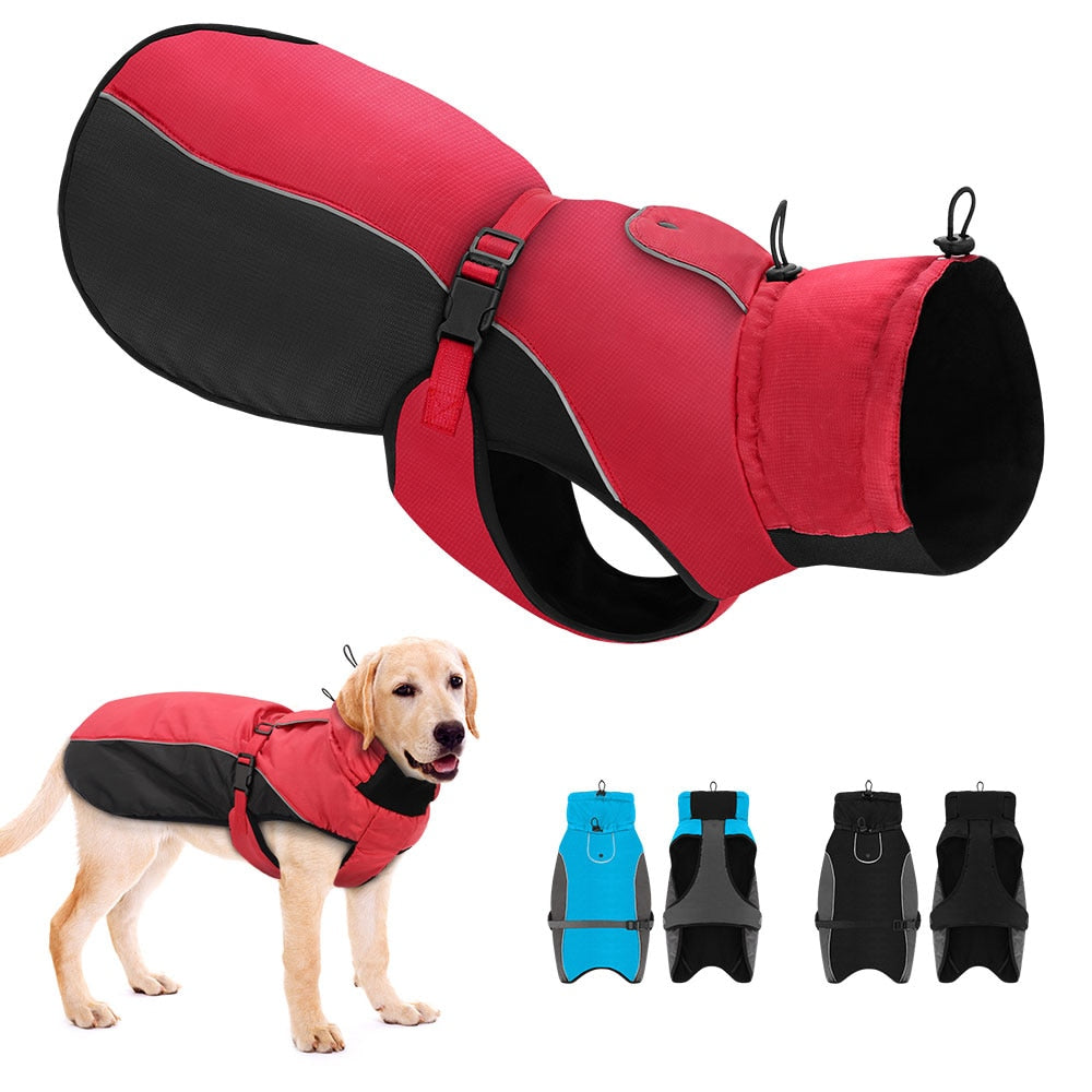 Köpek Yağmurluk Mont 47295254