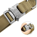 Kangal tasması Kayış SET 40023747