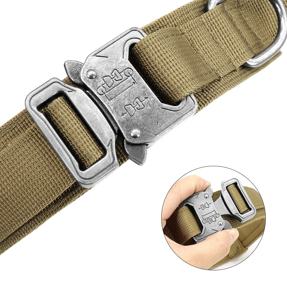 Kangal tasması Kayış SET 40023747