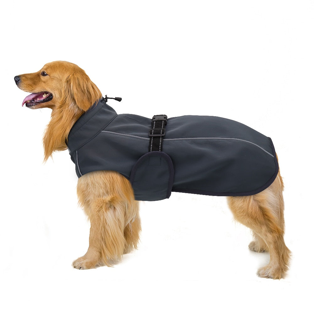 köpek montu hep21