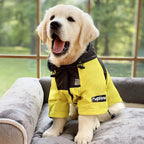 Köpek Yağmurluk