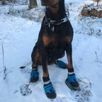 Köpek ayakkabısı 