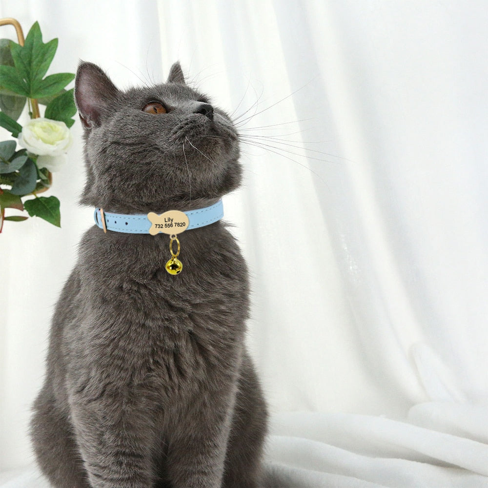 Kedi tasması 45333713