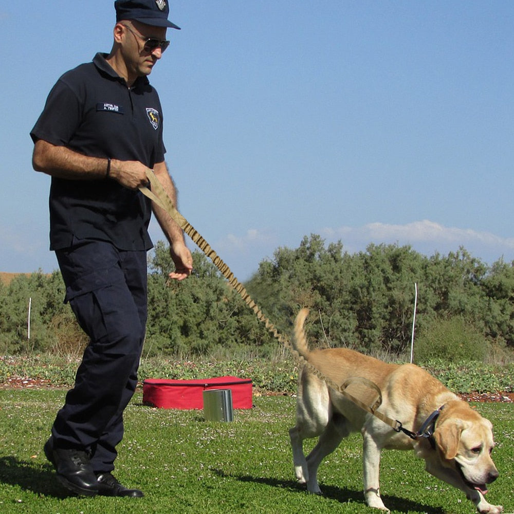 Köpek Gezdirme Kayışı Tactical 23082716