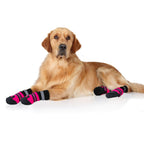 Köpek ayakkabısı 