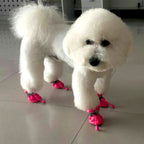 Köpek ayakkabısı REFLECTİVE 7421541