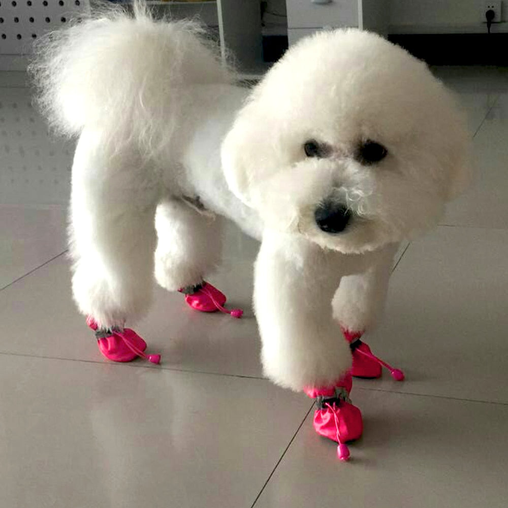 Köpek ayakkabısı REFLECTİVE 7421541