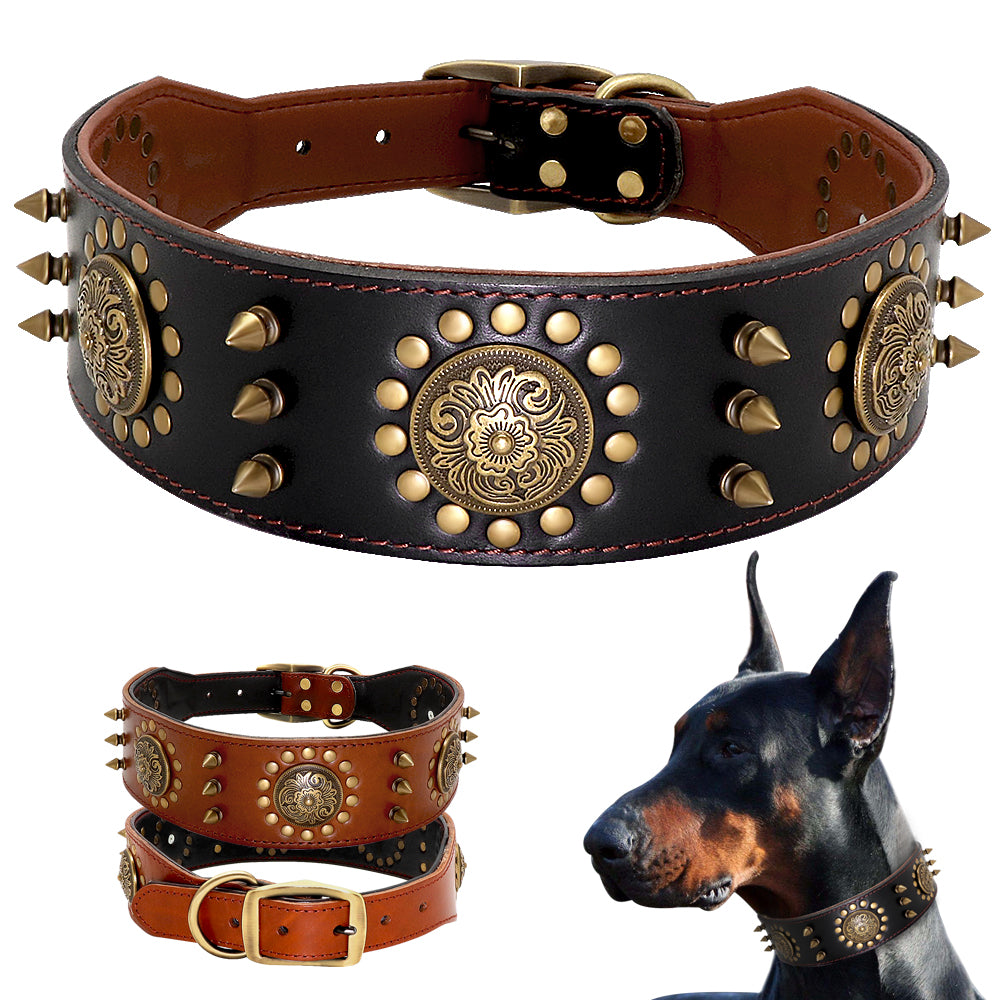 Pitbull Tasması
