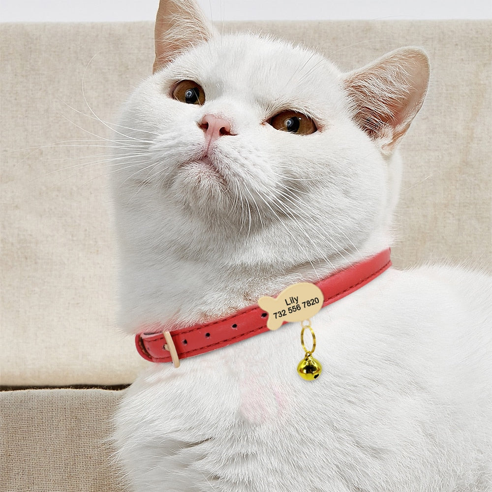 Kedi tasması 45333713