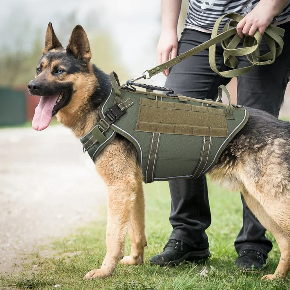 Köpek göğüs tasması tactical Reflective 43733273