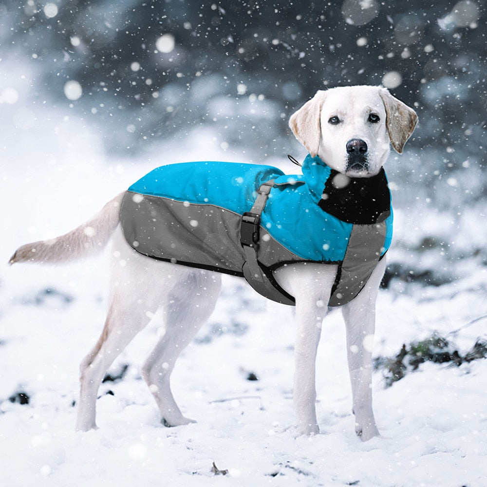 Köpek Yağmurluk Mont 47295254