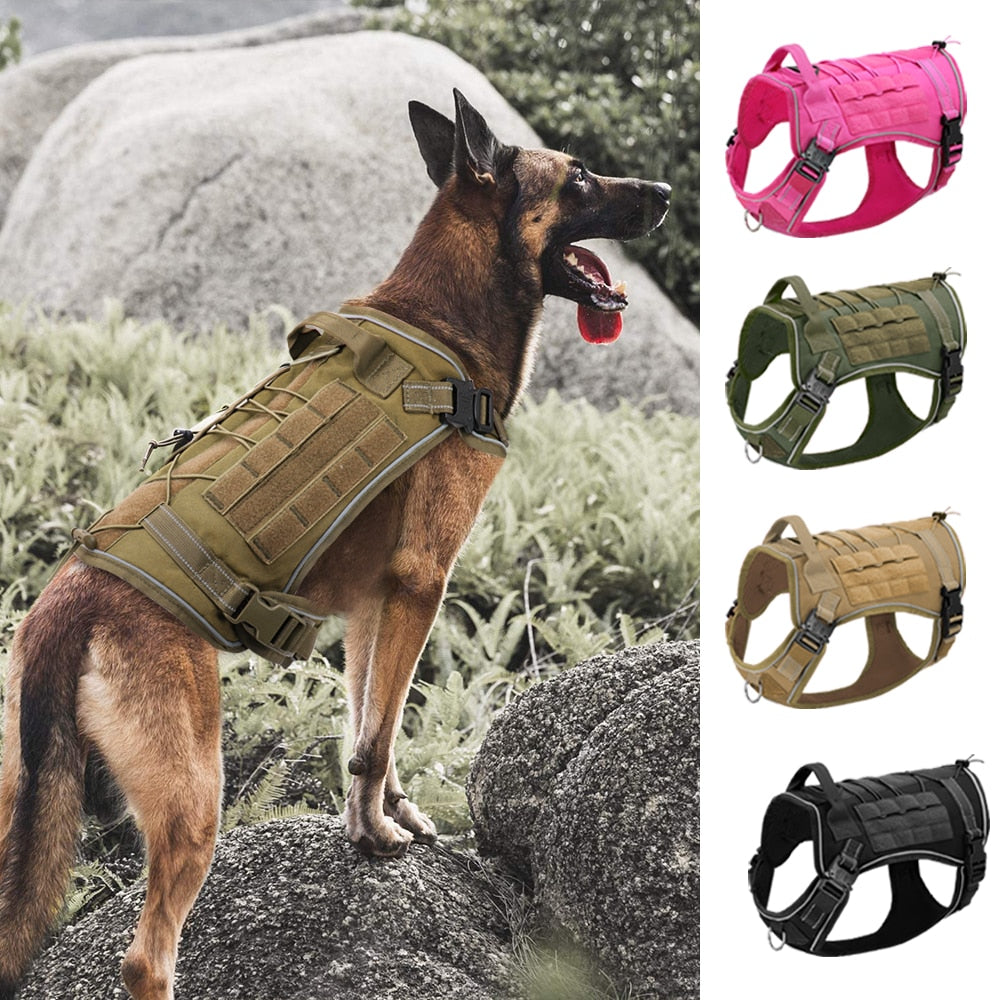 Köpek Göğüs Tasması 
