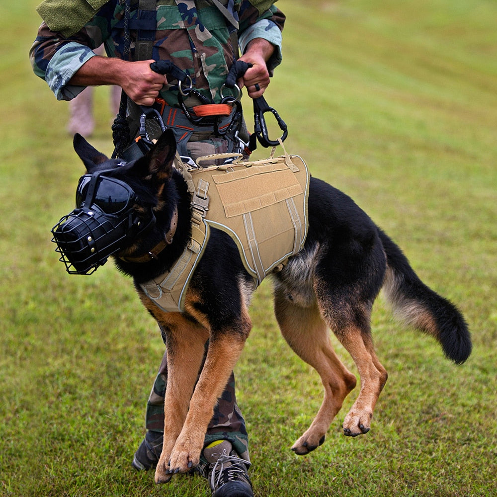 Köpek göğüs tasması tactical Reflective 43733273