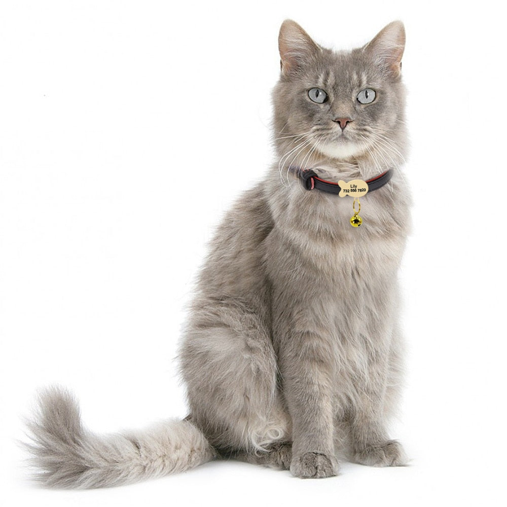 Kedi tasması 45333713