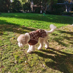 Köpek Montu 39723103