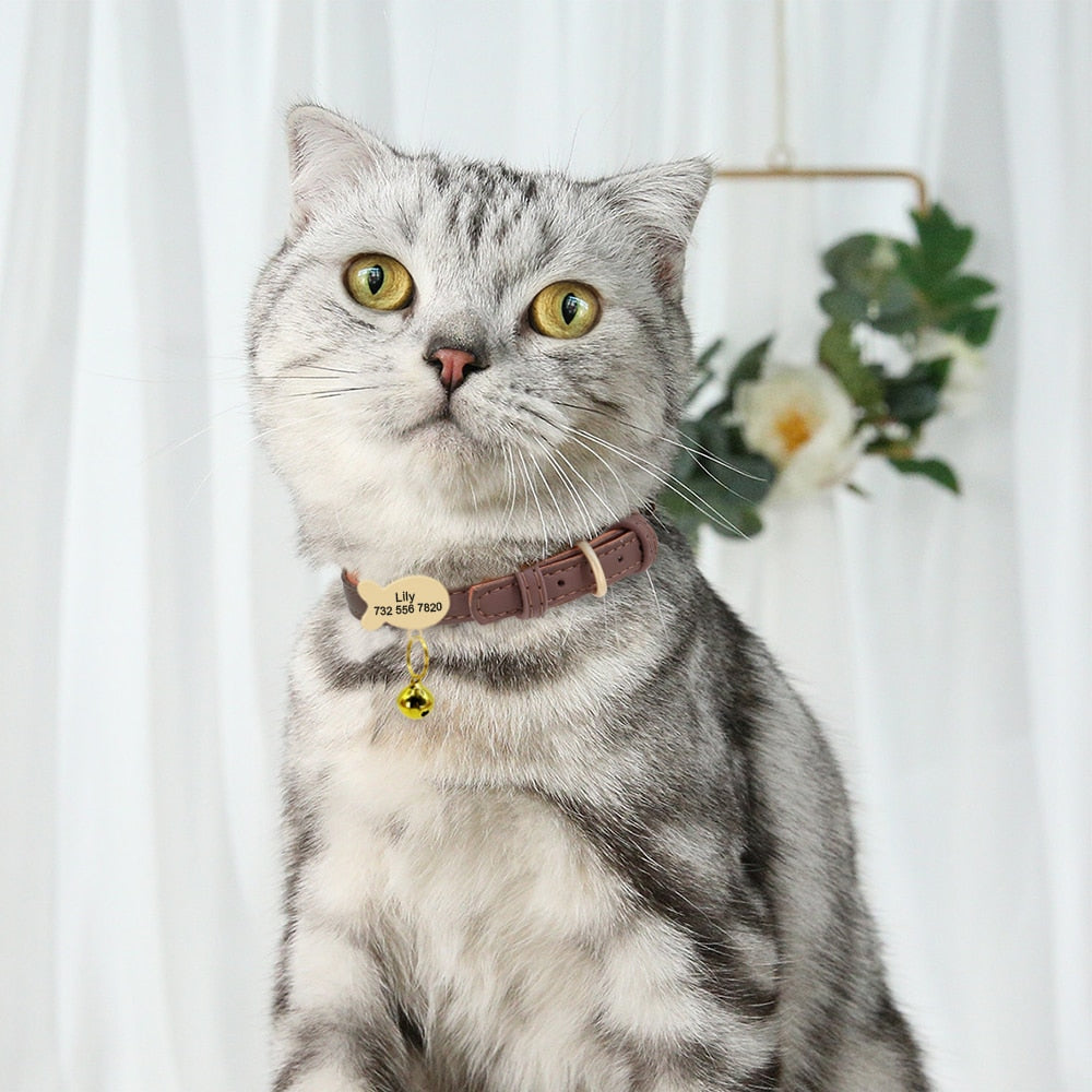 Kedi tasması 45333713