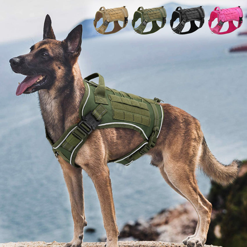 Köpek Göğüs Tasması 
