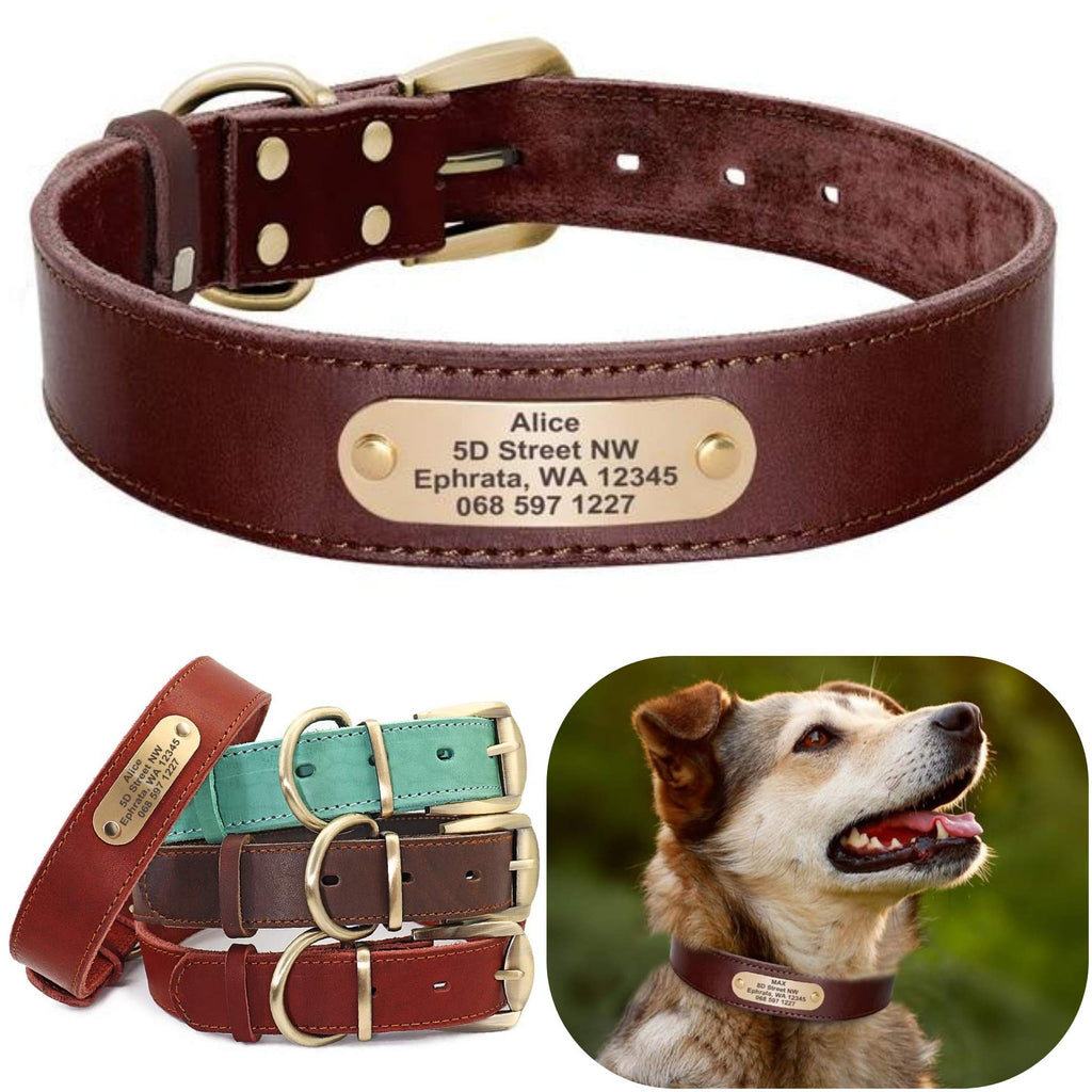 Köpek tasması hep21