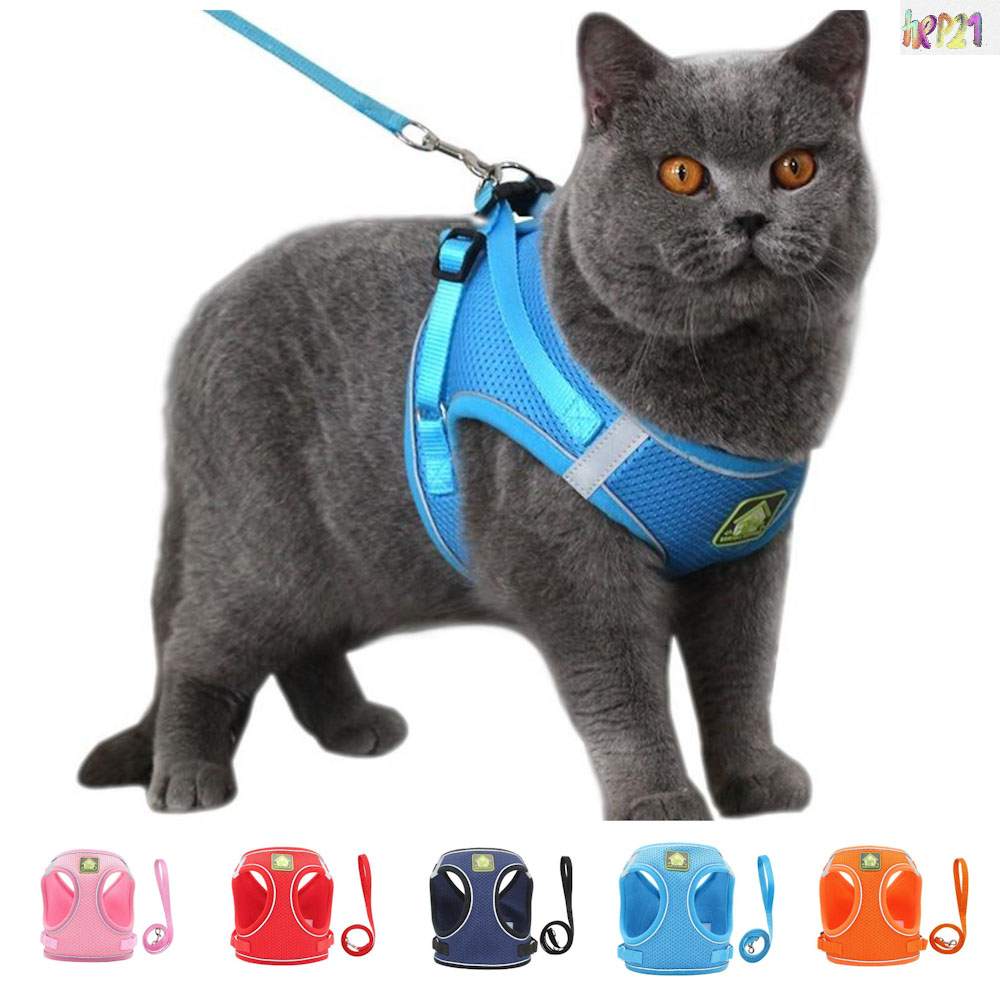 Kedi göğüs tasması kayış seti 37523062