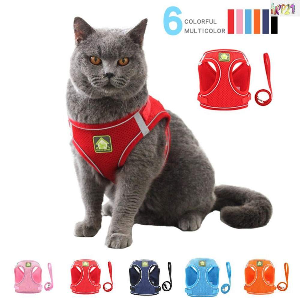 Kedi Gezdirme Tasması 