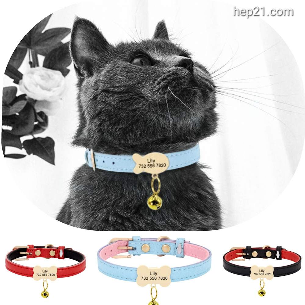 Kedi tasması 45333713