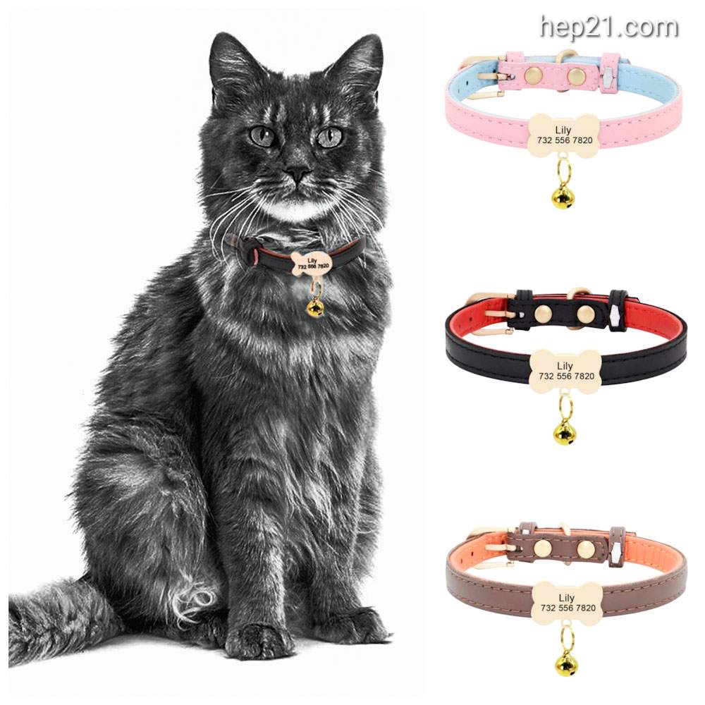 Kedi tasması isimli 45412712