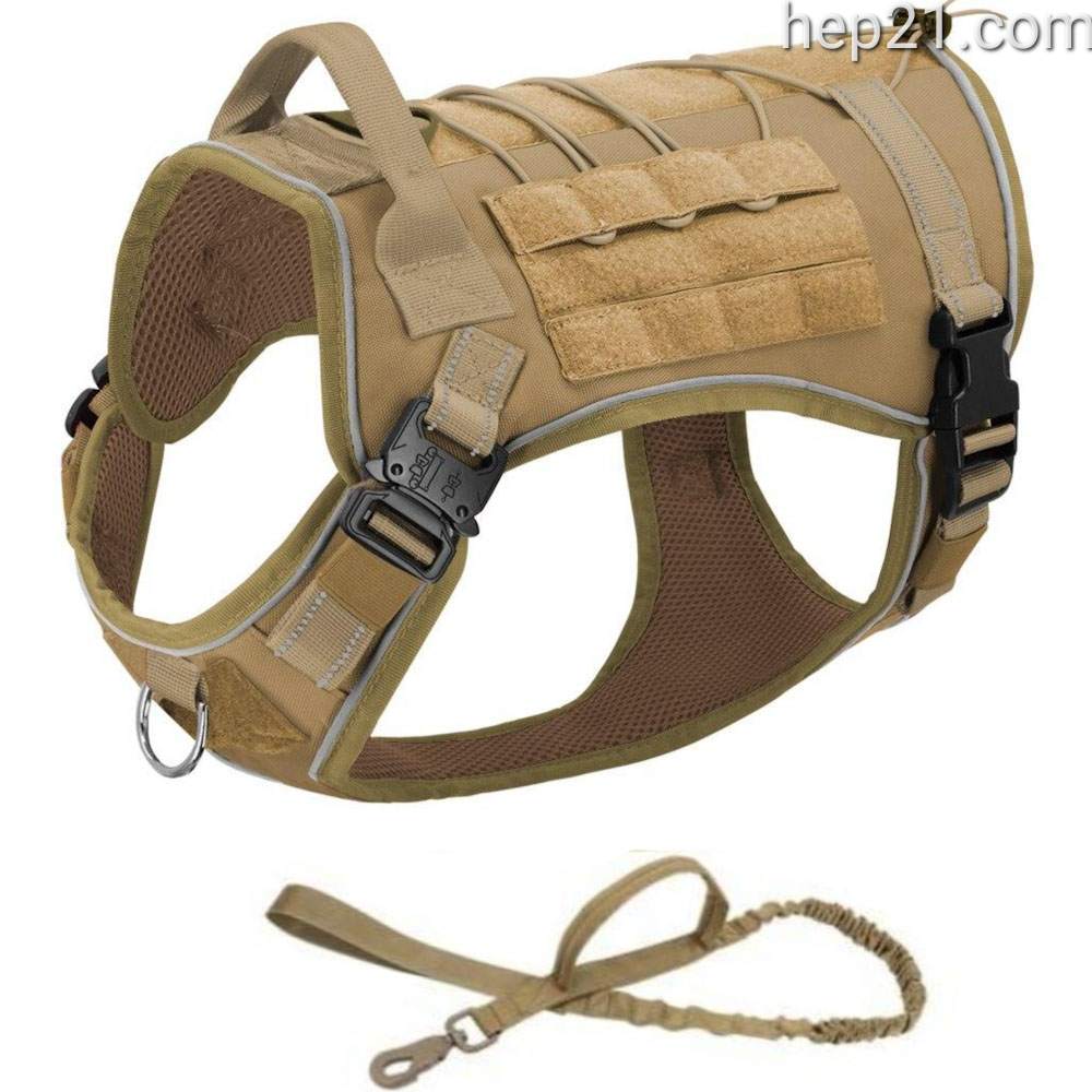 Köpek Göğüs Tasması Tactical SET 45449980