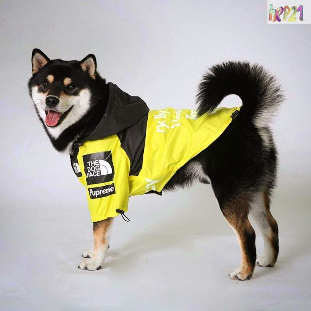 Köpek Yağmurluk