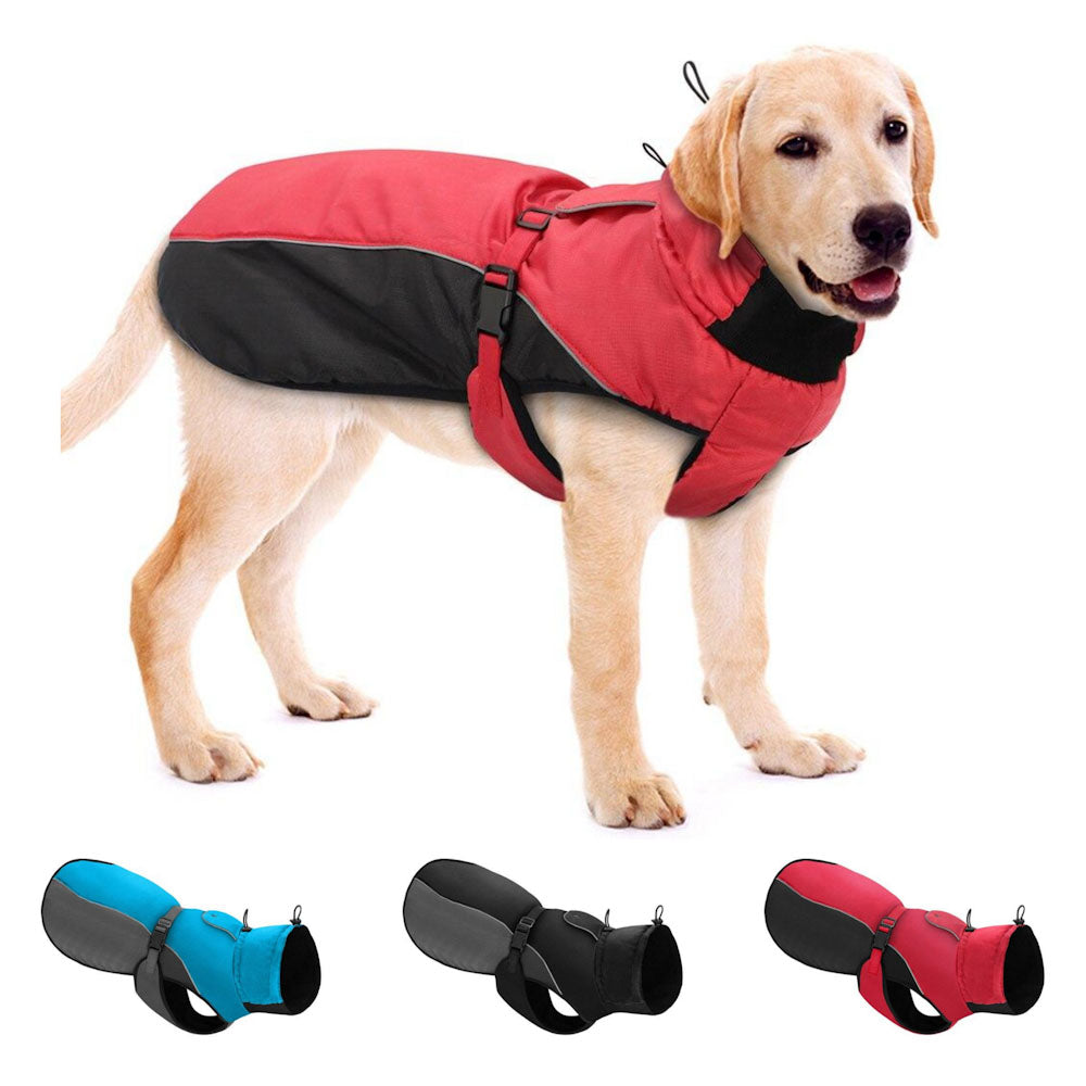 Köpek Yağmurluk Mont 47295254