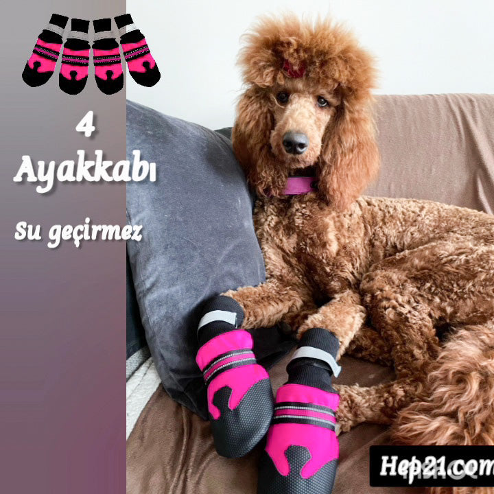 Köpek ayakkabısı Reflective 9886829