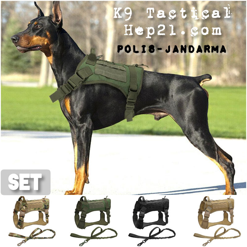 Köpek Göğüs Tasması Kayış Set Tactical 39810022