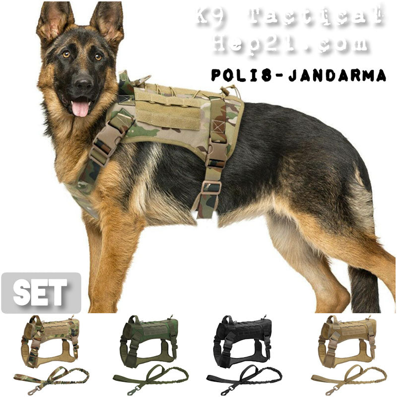 Köpek Göğüs Tasması Kayış Set Tactical 39810022