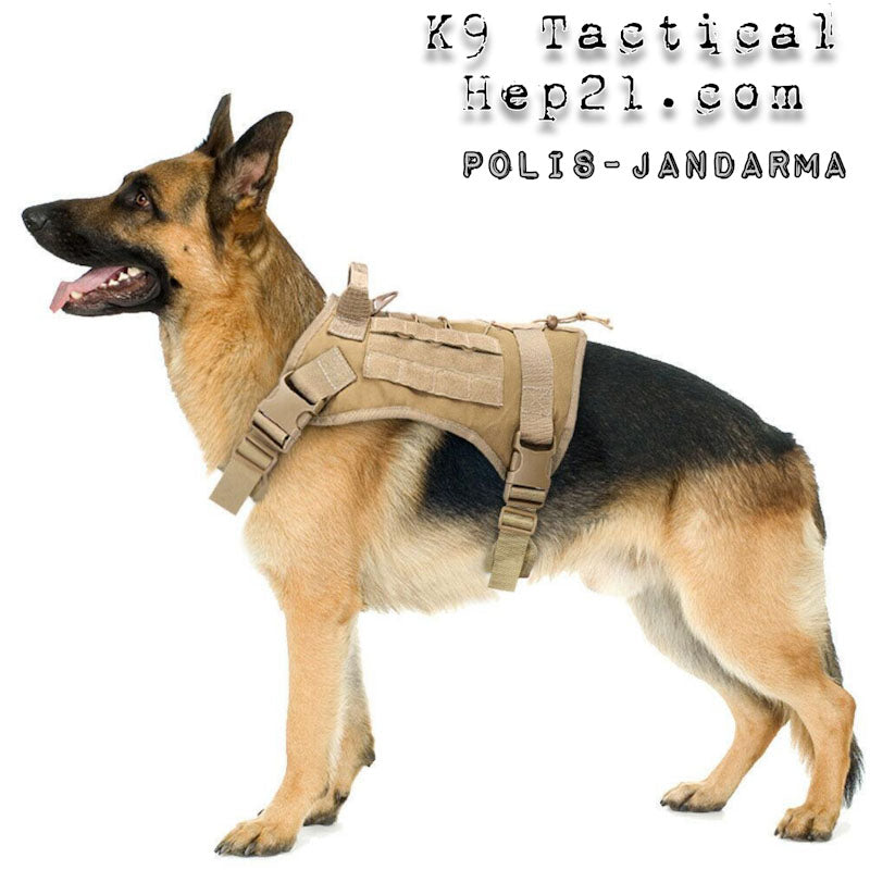 Köpek göğüs tasması Tactical 39810022