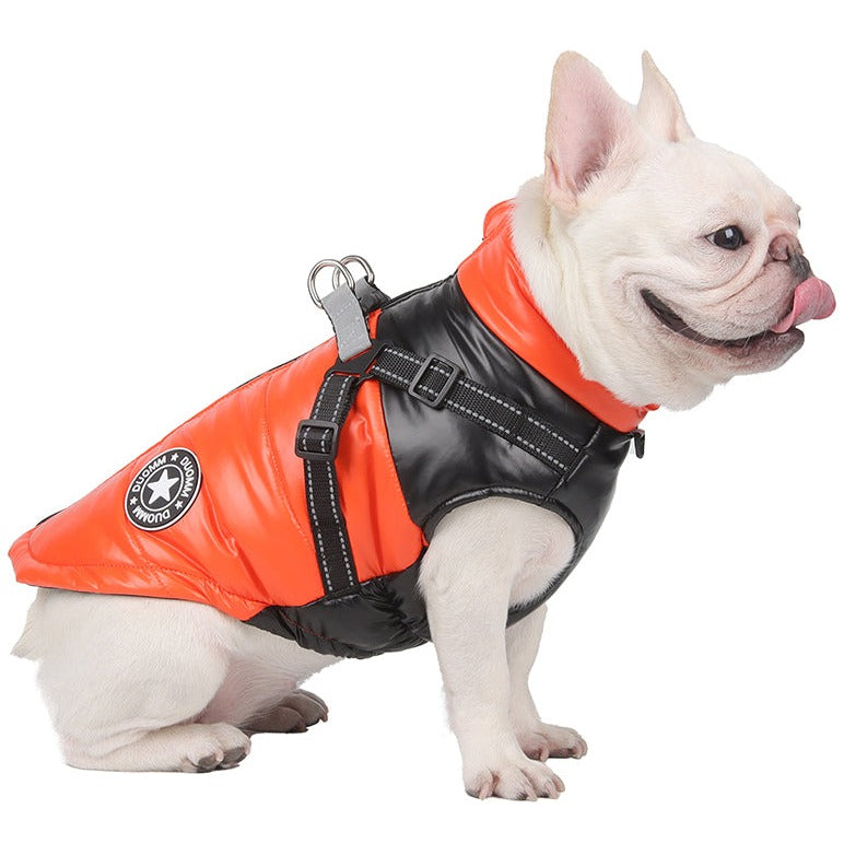 Köpek Yağmurluk