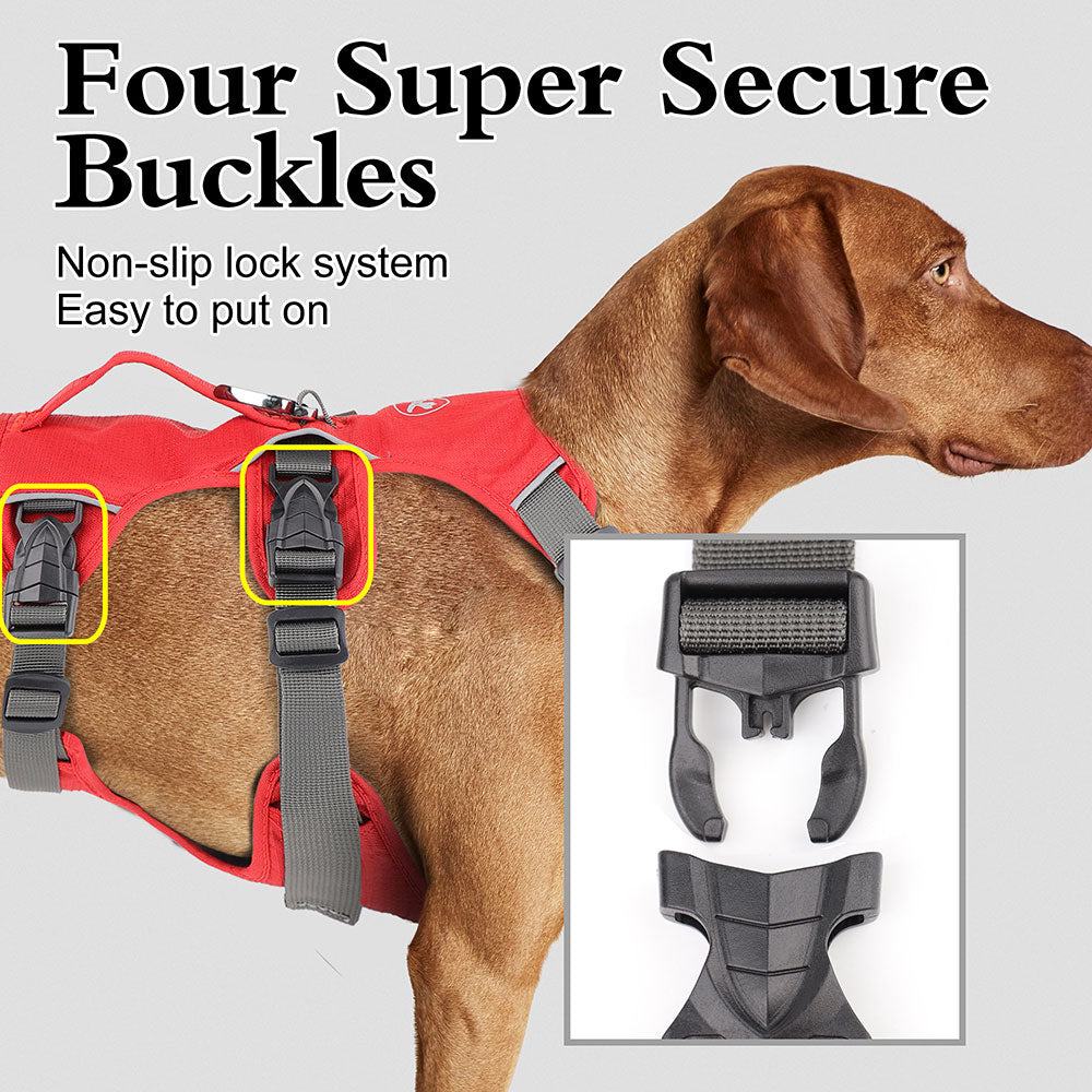 Köpek Göğüs Tasması 