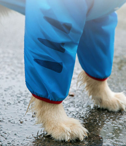 Köpek yağmurluk